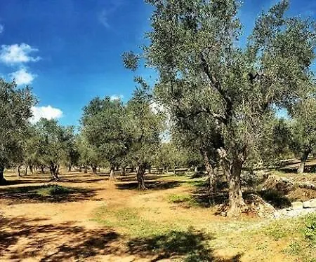 Ξενοδοχείο Petraria & Cannole