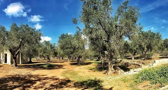 Ξενοδοχείο Petraria & Cannole